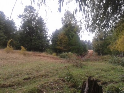 CentroCasas.cl Venta de Campo en Futrono, camino a Futrono sector Liucura