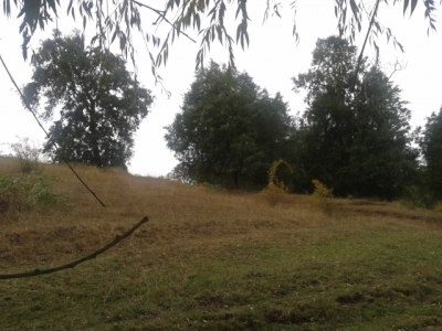 CentroCasas.cl Venta de Campo en Futrono, camino a Futrono sector Liucura