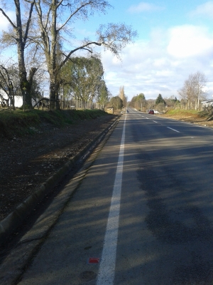 CentroCasas.cl Venta de Campo en Lago Ranco, camino a puerto nuevo Lago Ranco