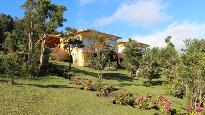 Venta-de-Parcela-con-casa-en-Lago-Ranco-Camino-Piedra-Mesa