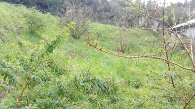 Venta-de-Terreno-en-Valdivia-Costero