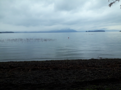 CentroCasas.cl Venta de Parcela en Panguipulli, Lago Calafquen