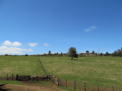 CentroCasas.cl Venta de Campo en Valdivia, Los Guindos