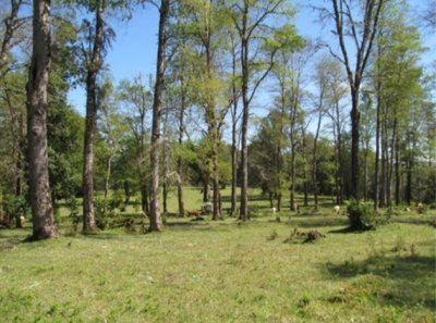 CentroCasas.cl Venta de Campo en Valdivia, Los Guindos