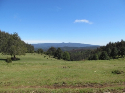 CentroCasas.cl Venta de Campo en Valdivia, Los Guindos