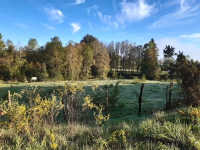 CentroCasas.cl Venta de Parcela en Valdivia, Cayumapu