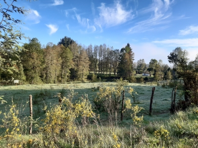 CentroCasas.cl Venta de Parcela en Valdivia, Cayumapu