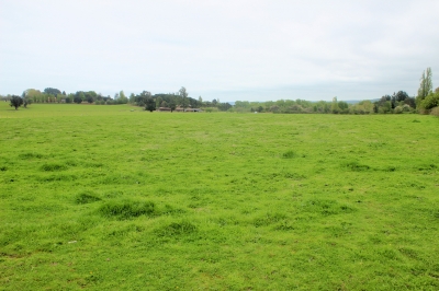 CentroCasas.cl Venta de Terreno en Futrono, Puerto Futrono