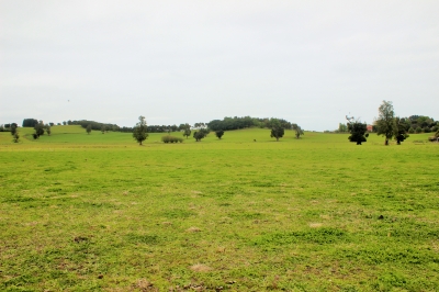 CentroCasas.cl Venta de Terreno en Futrono, Puerto Futrono