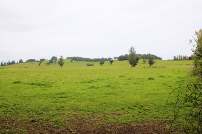 CentroCasas.cl Venta de Terreno en Futrono, Puerto Futrono