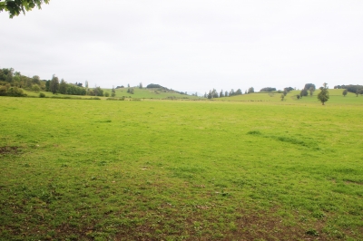 CentroCasas.cl Venta de Terreno en Futrono, Puerto Futrono