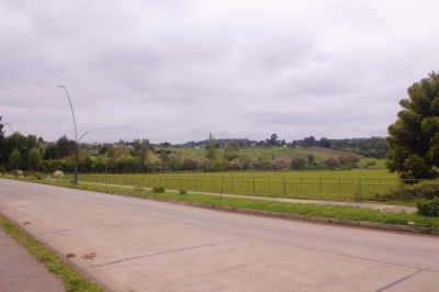 CentroCasas.cl Venta de Terreno en Futrono, Puerto Futrono