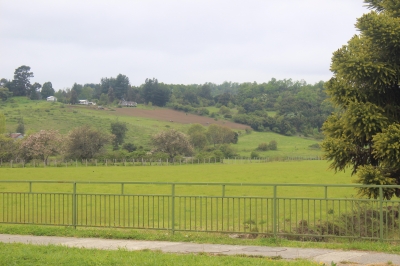 CentroCasas.cl Venta de Terreno en Futrono, Puerto Futrono