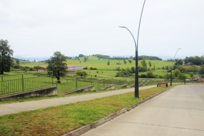 CentroCasas.cl Venta de Terreno en Futrono, Puerto Futrono