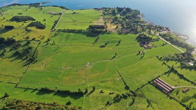 CentroCasas.cl Venta de Terreno en Futrono, Puerto Futrono