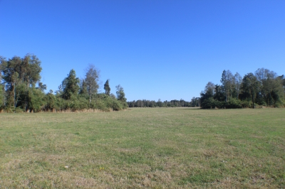 CentroCasas.cl Venta de Campo en Ro Bueno, camino a puerto nuevo 