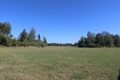 CentroCasas.cl Venta de Campo en Ro Bueno, camino a puerto nuevo 