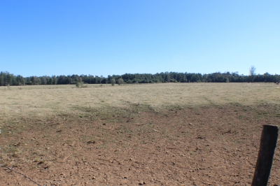 CentroCasas.cl Venta de Campo en Ro Bueno, camino a puerto nuevo 