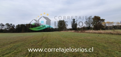 CentroCasas.cl Venta de Campo en Paillaco, Paillaco