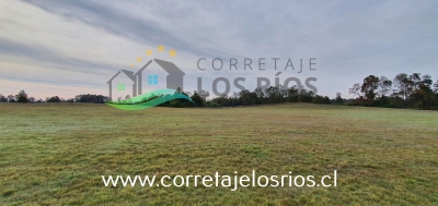 CentroCasas.cl Venta de Campo en Paillaco, Paillaco