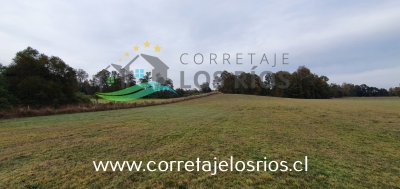 CentroCasas.cl Venta de Campo en Paillaco, Paillaco