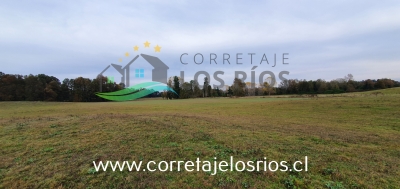 CentroCasas.cl Venta de Campo en Paillaco, Paillaco