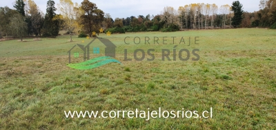 CentroCasas.cl Venta de Campo en Paillaco, Paillaco