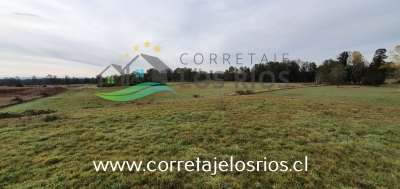 CentroCasas.cl Venta de Campo en Paillaco, Paillaco