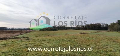 CentroCasas.cl Venta de Campo en Paillaco, Paillaco