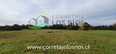 CentroCasas.cl Venta de Campo en Paillaco, Paillaco