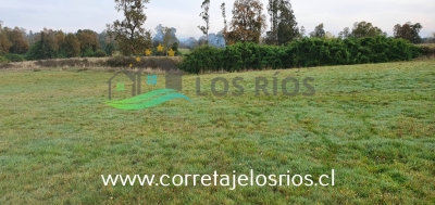 CentroCasas.cl Venta de Campo en Paillaco, Paillaco