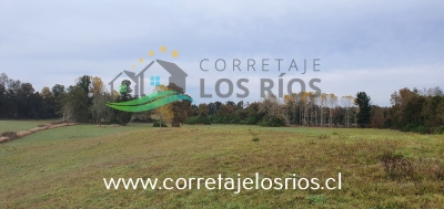 CentroCasas.cl Venta de Campo en Paillaco, Paillaco