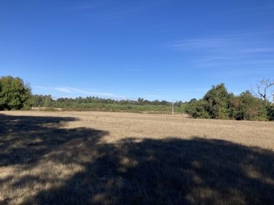 CentroCasas.cl Venta de Parcela en Mariquina, Linguento