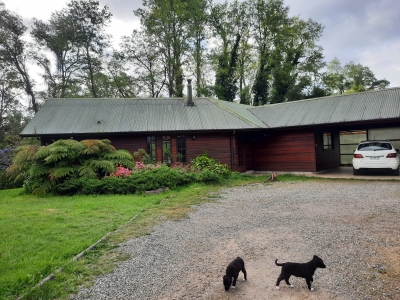 CentroCasas.cl Venta de Propiedad con edificacion en Valdivia, LOS CISNES, LAS ANIMAS