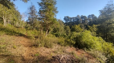 CentroCasas.cl Venta de Parcela en Valdivia, Rebelin