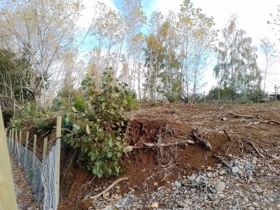 Venta-de-Terreno-en-Valdivia-Isla-Teja