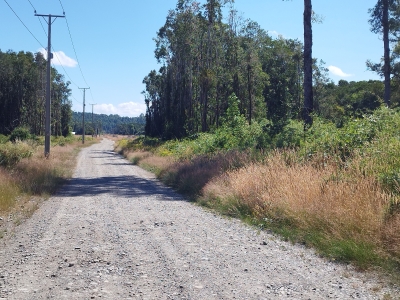 CentroCasas.cl Venta de Parcela en Valdivia, Chancoyan Alto