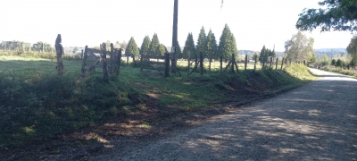 CentroCasas.cl Venta de Parcela en Mariquina, San Jose de la Mariquina