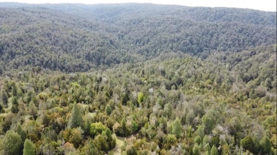 Venta-de-Campo-en-Valdivia-Tres-Chiflones